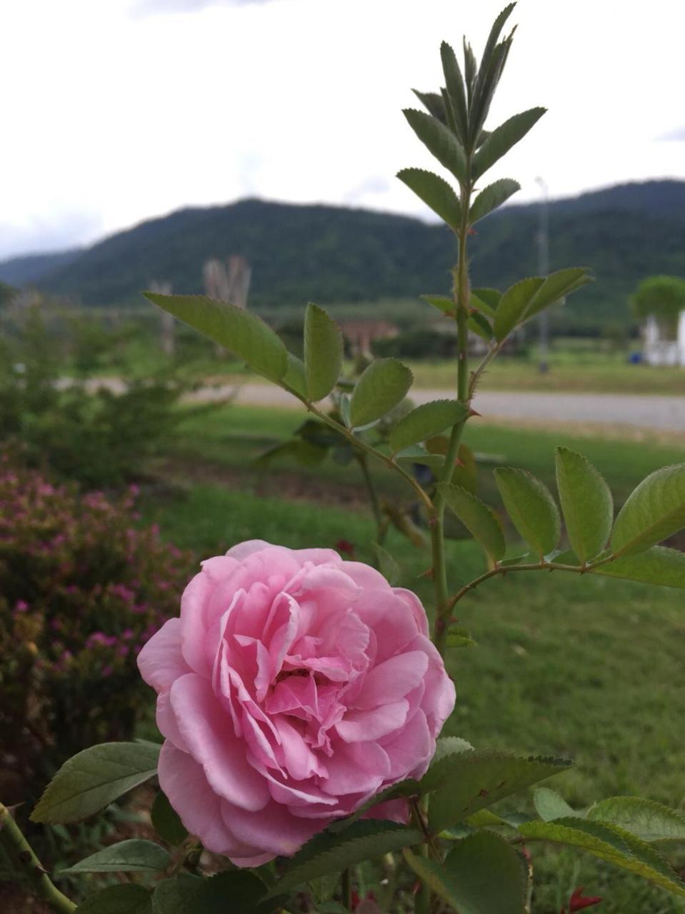 Samerdrow Khao Yai Mu Si Exteriör bild